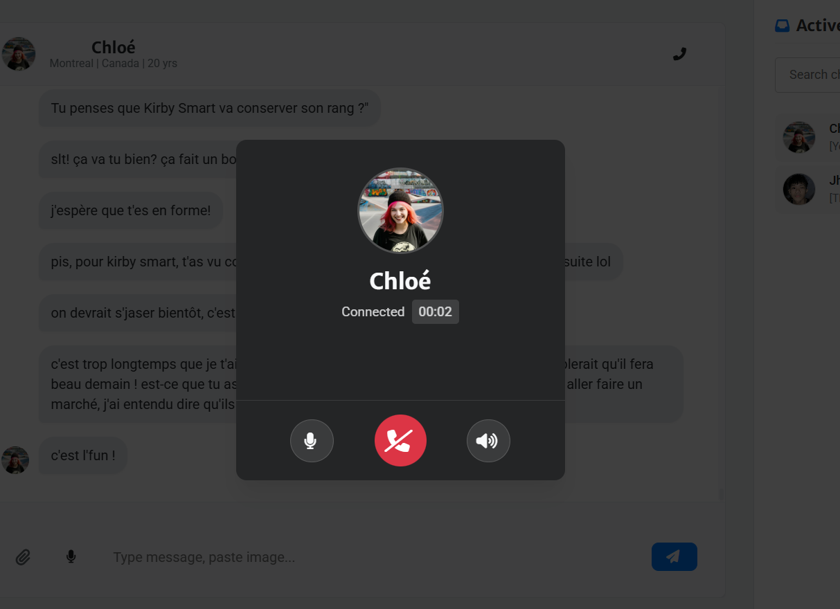 Screenshot of the live call screen